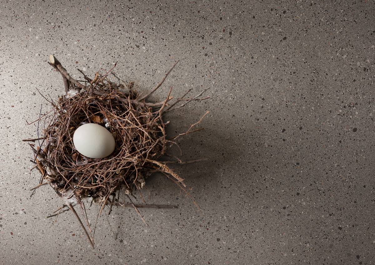 An Egg In A Nest